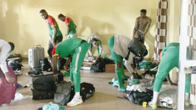 Photo of RETOUR MOUVENTE DES ETALONS LOCAUX DU CHAN   