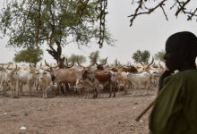 Photo of CRISE SECURITAIRE AU SAHEL   
